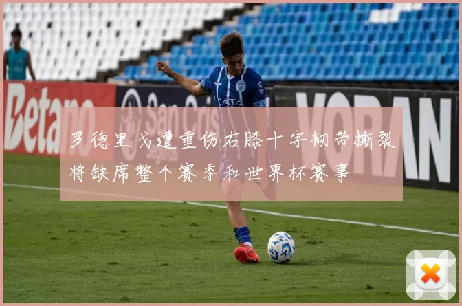 罗德里戈遭重伤右膝十字韧带撕裂将缺席整个赛季和世界杯赛事